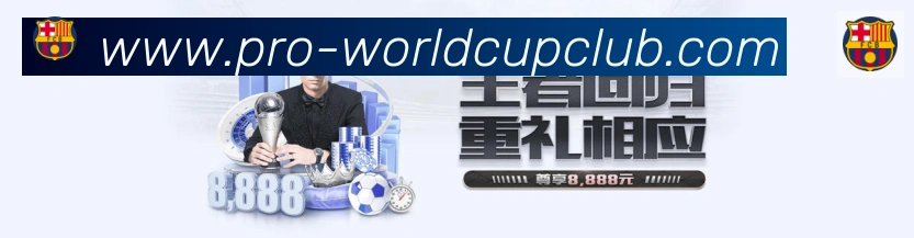平台使命图